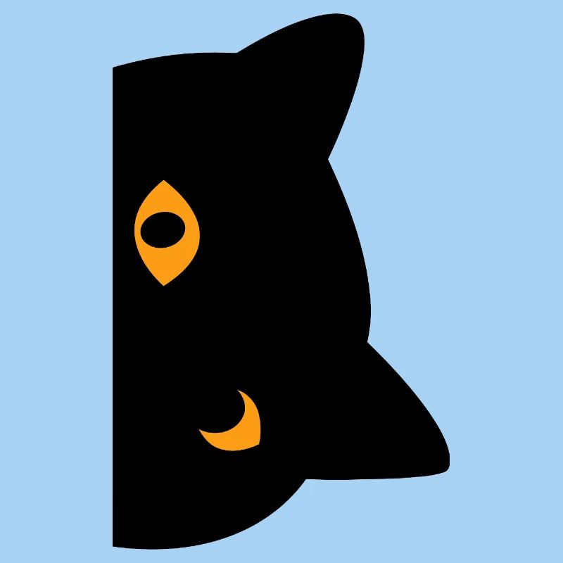 schwarze Katze