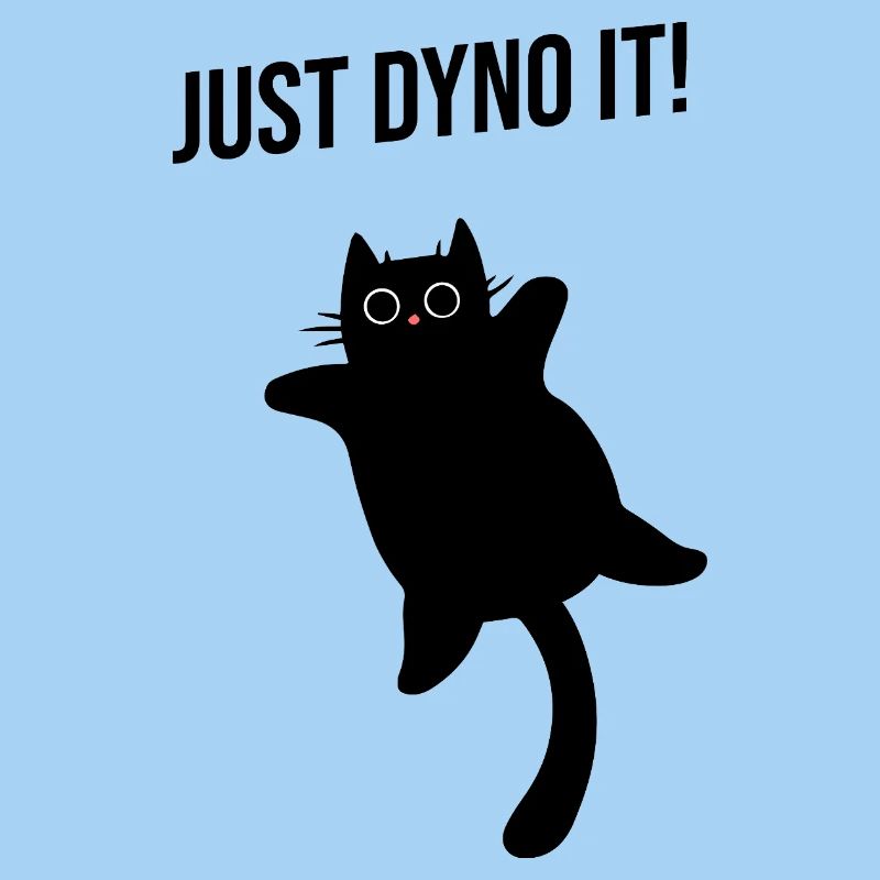 Cat climbs dynamically climbing route Dyno boulder