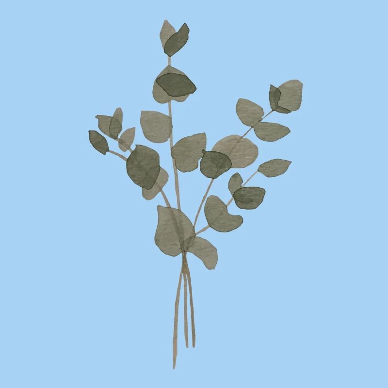 Eucalyptus à l’Aquarelle