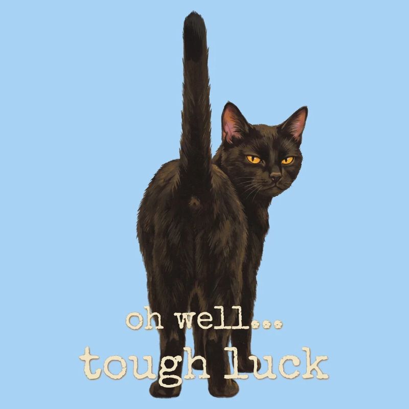 Tant pis, pas de chance, chat