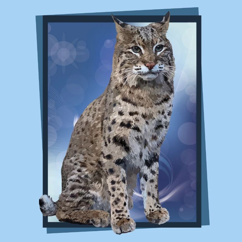 Luchs