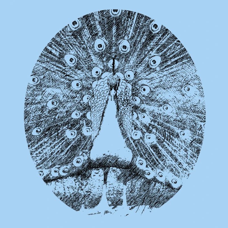 pfau