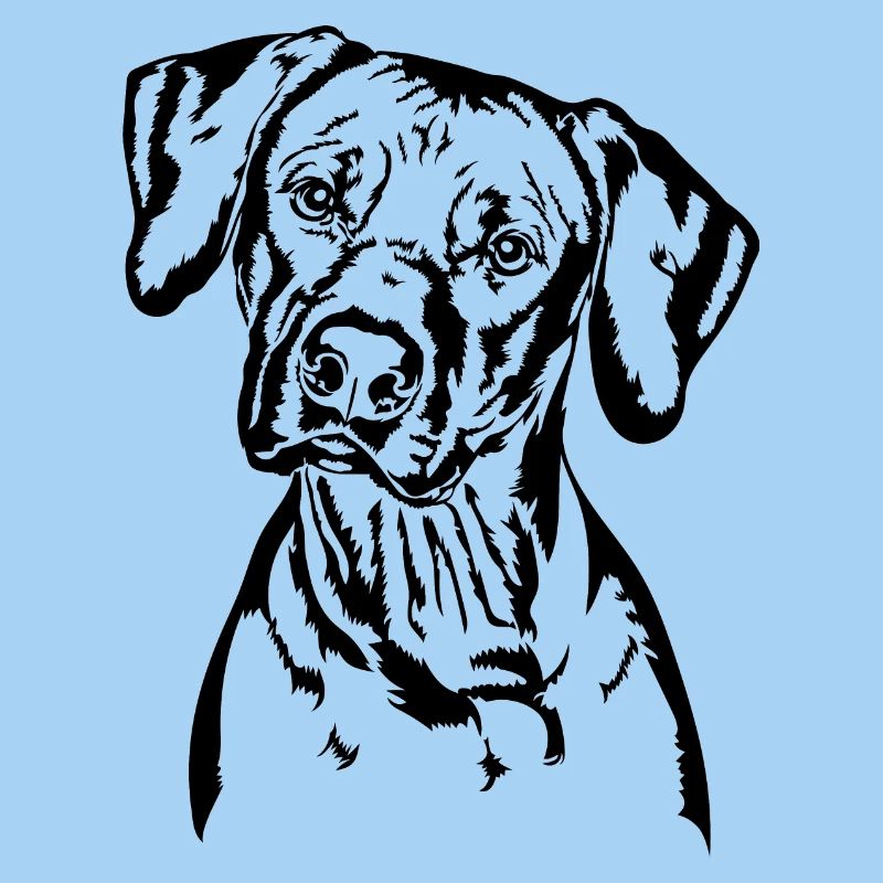 RHODESIAN RIDGEBACK Portrait de chien Wilsigns