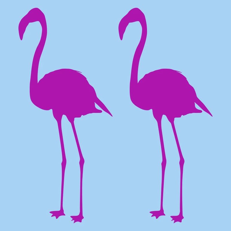 Flamants roses