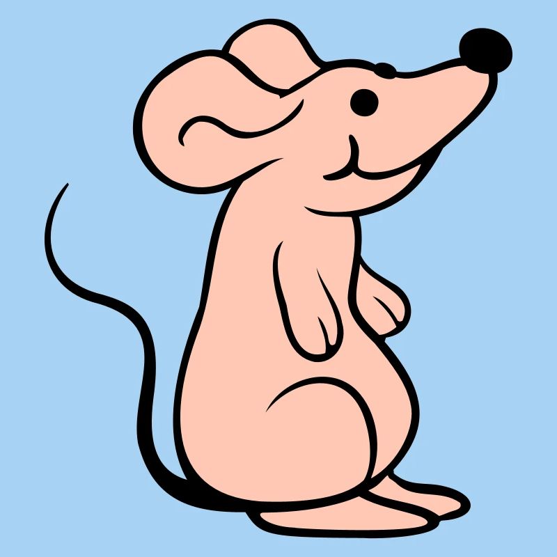 souris souris mignon petit rat rongeur amical