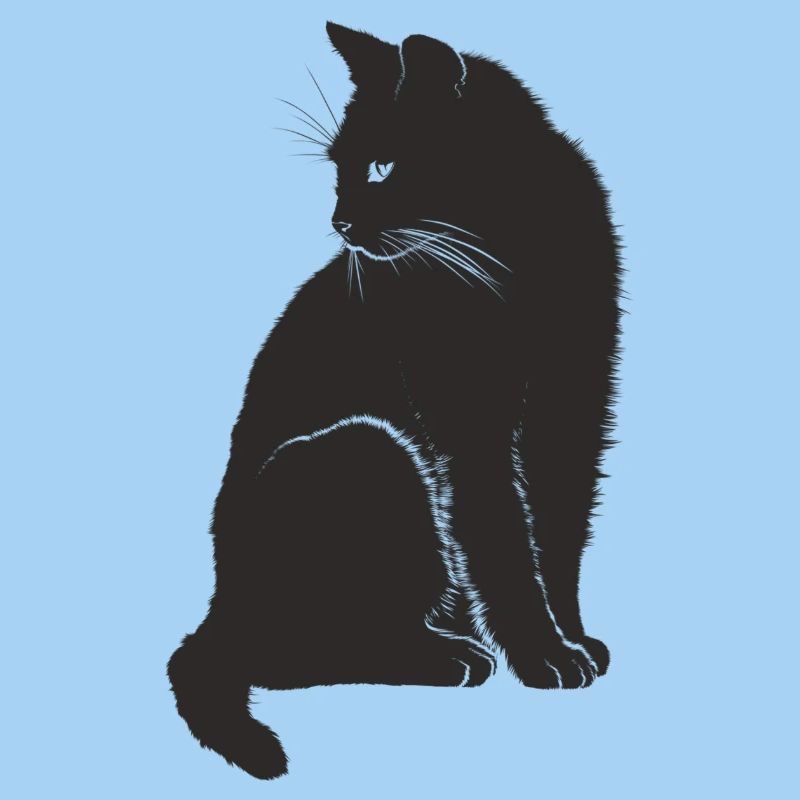 black cat