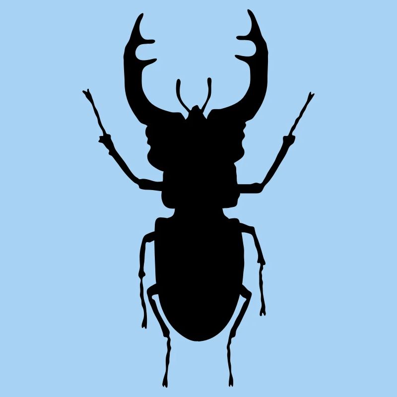 stag- beetle_c1