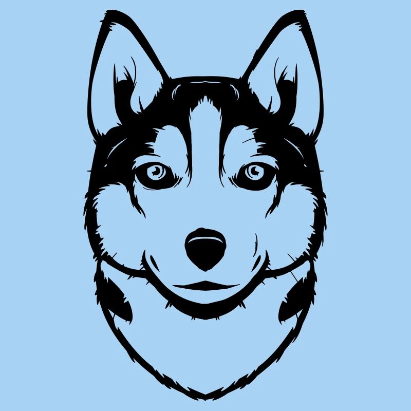 Siberian Husky