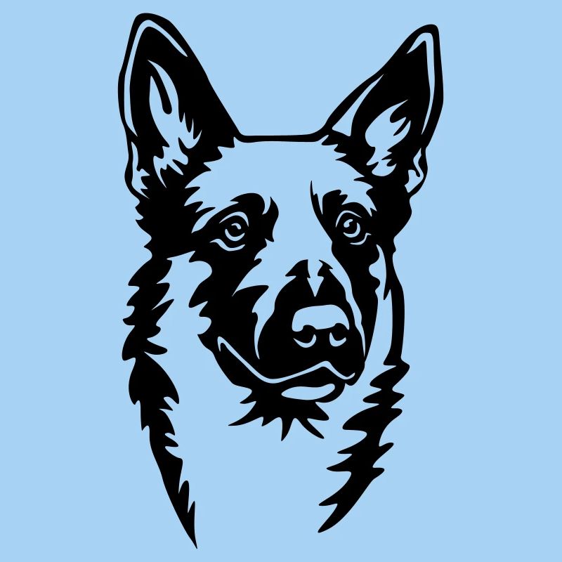 Malinois Kopf