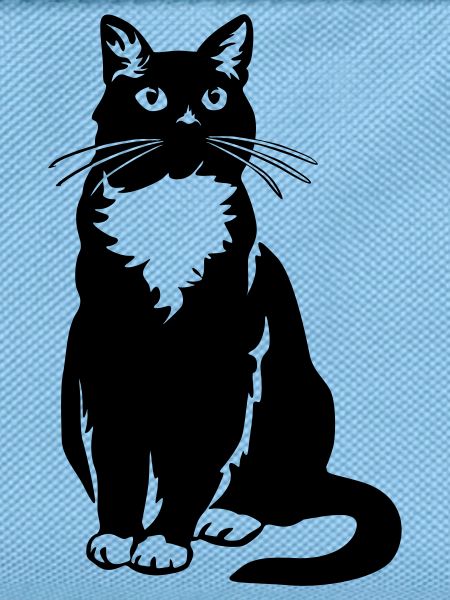 Tuxedo Cat