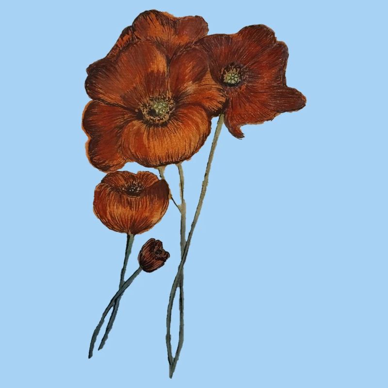 MOHNBLUMEN