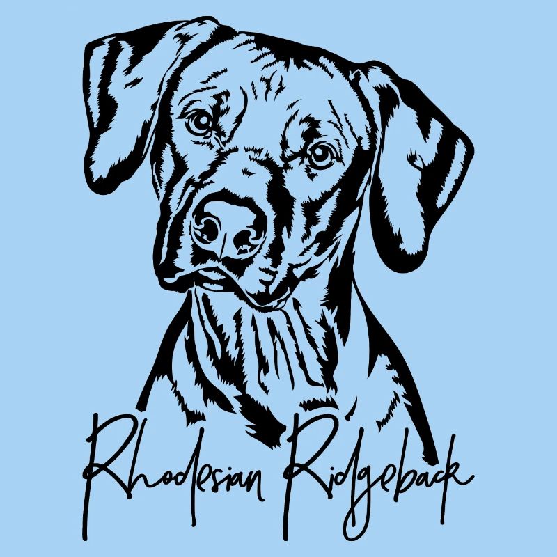 RHODESIAN RIDGEBACK Portrait de chien Wilsigns
