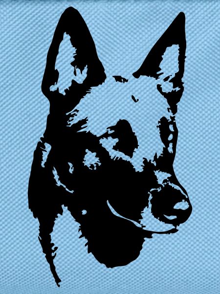 Malinois Kopf