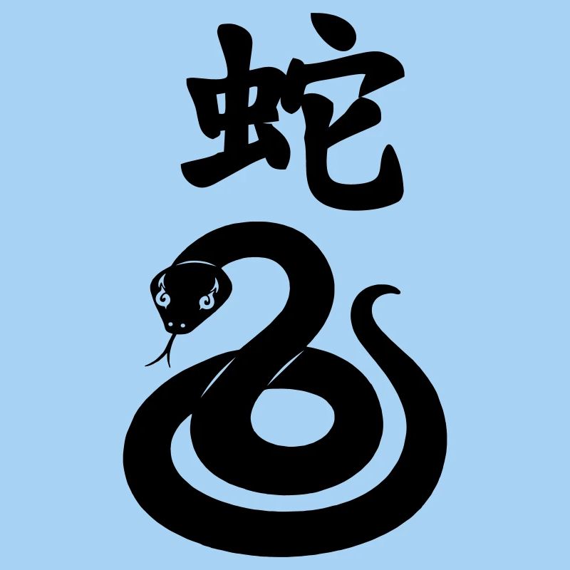 Serpent à caractère chinois avec image de serpent