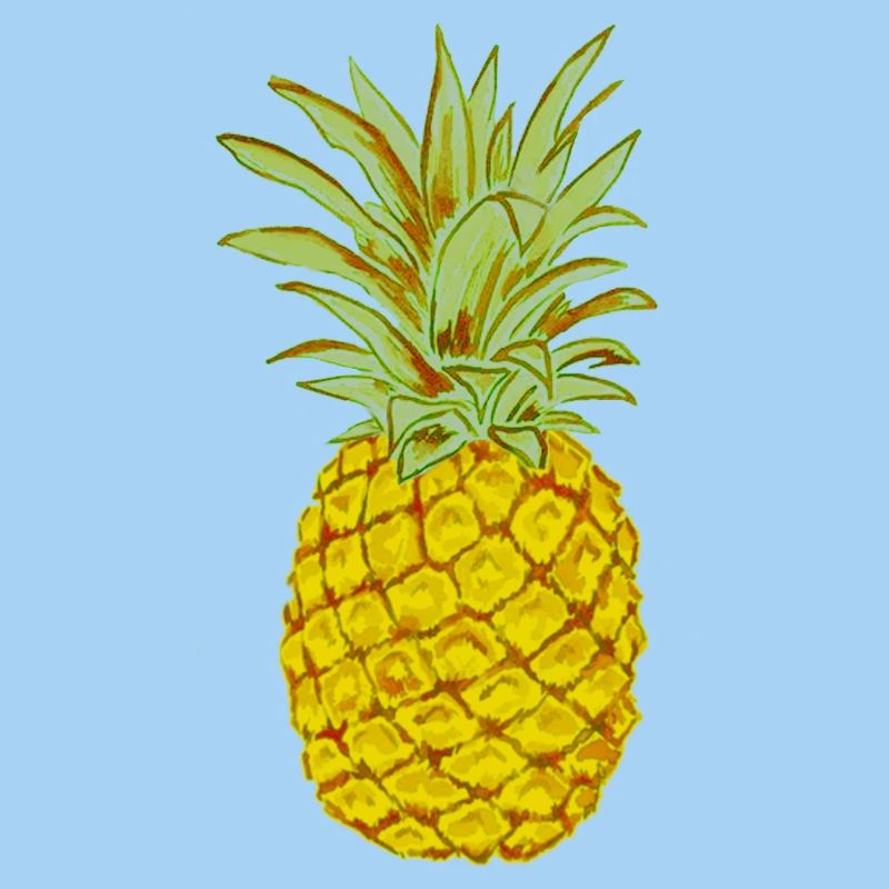 Ripe Pineapple Yellow Stylized Drawing
