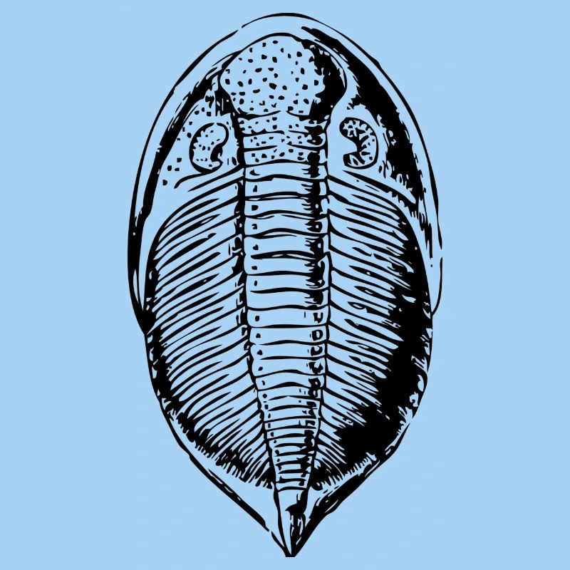fossile