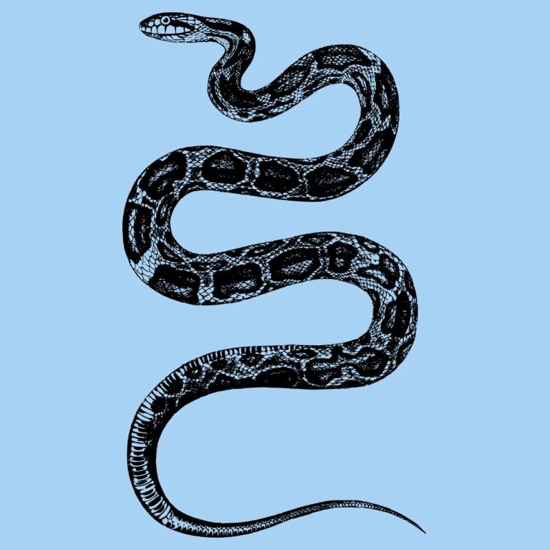 Snake Design