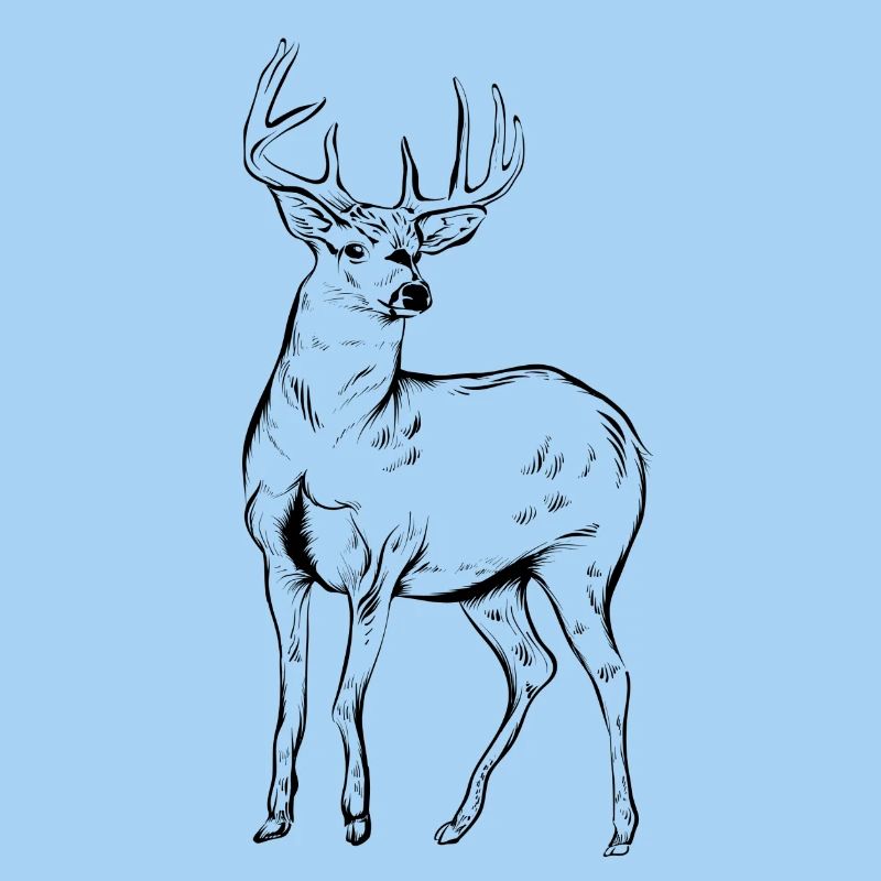 deer