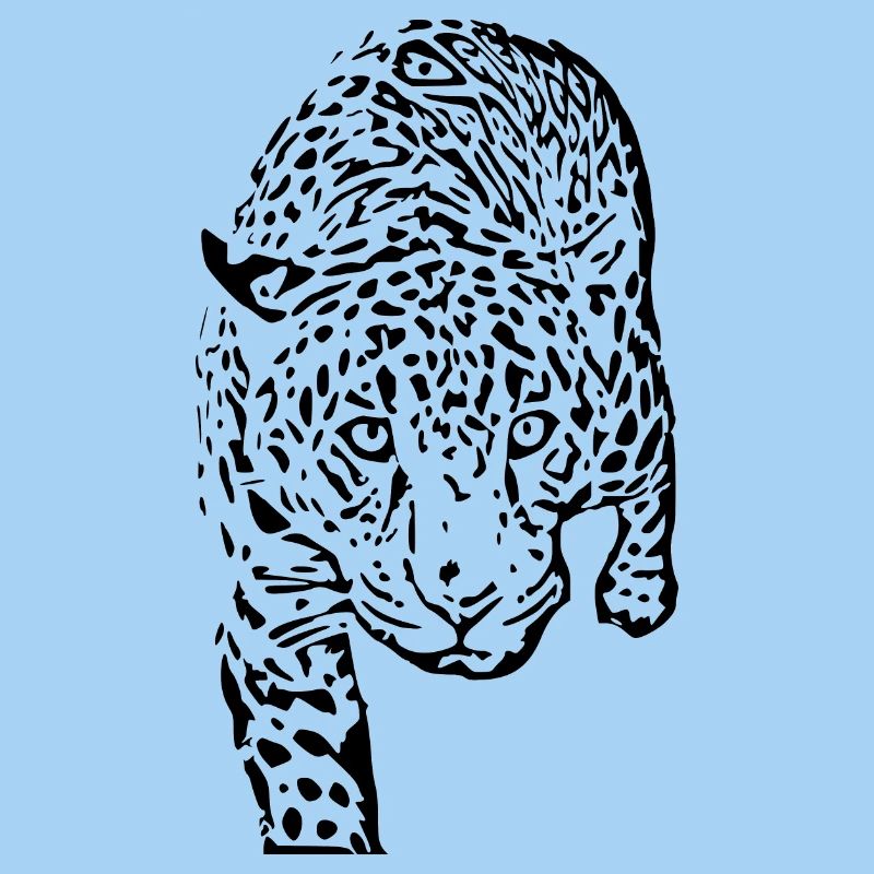 leopard schwarz schwarzer Leopard
