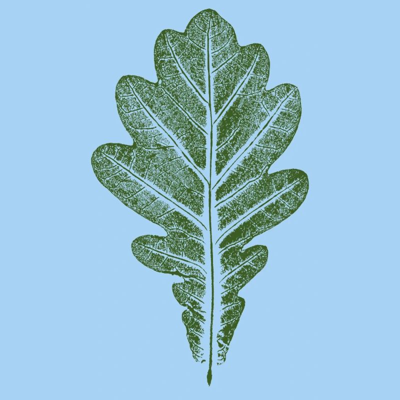 Blatt Eiche - Eichenblatt / Natur & Wald Design