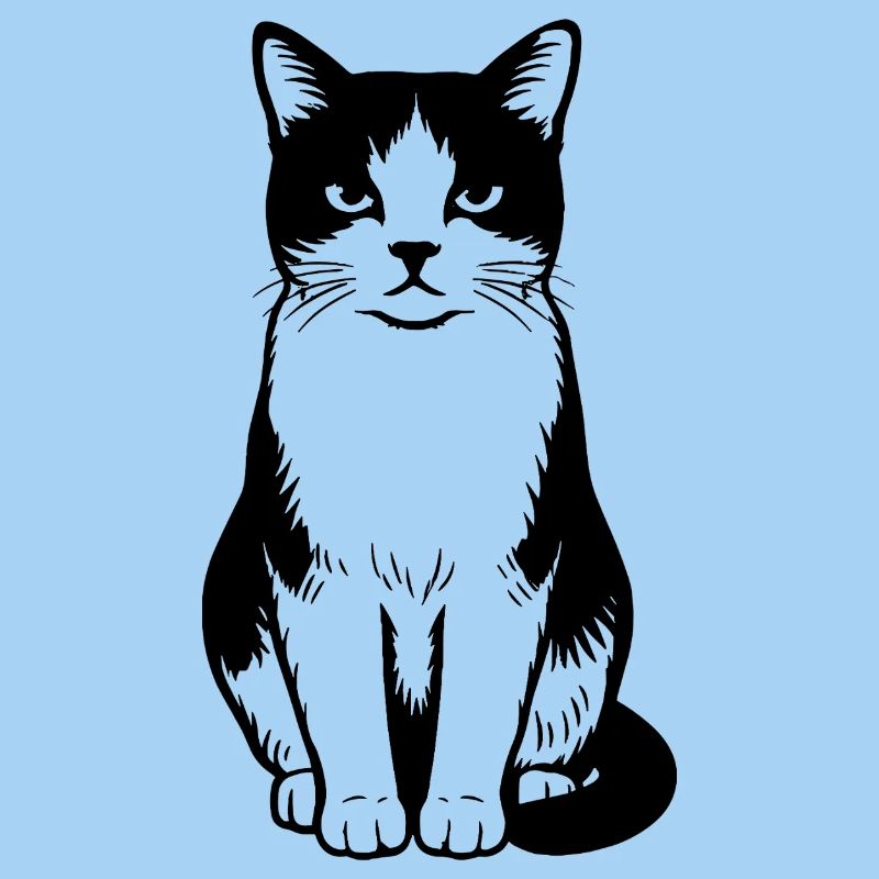 Chat