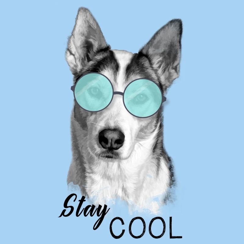 Chien - Reste cool