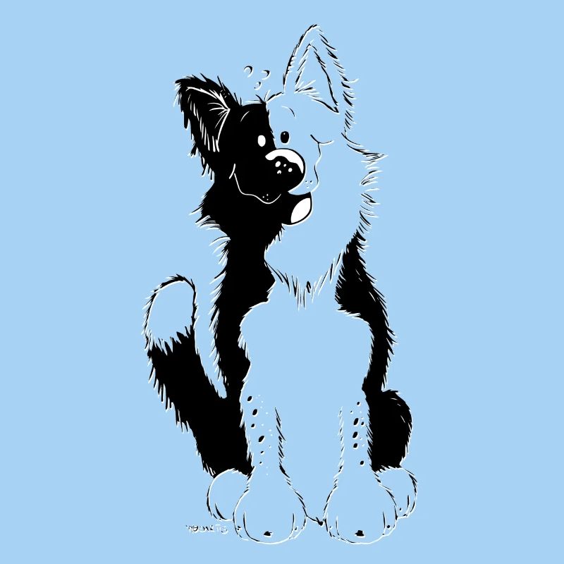 Cute Border Collie