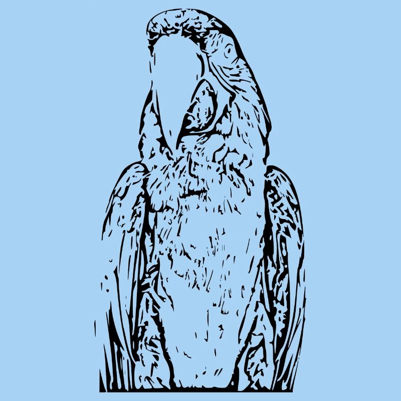 Parrot Bird Black