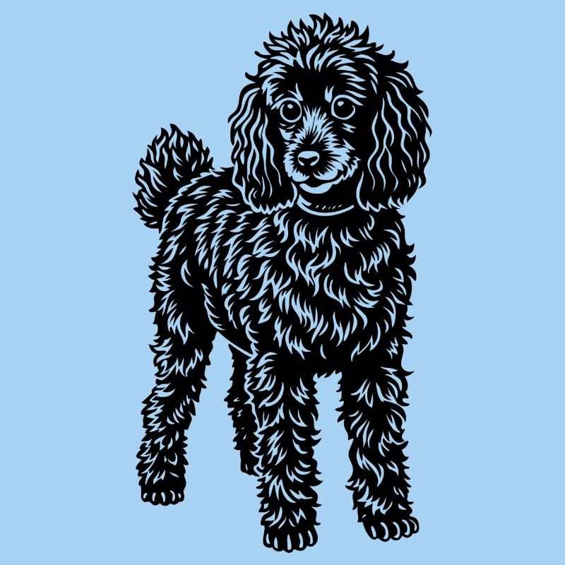 poodle