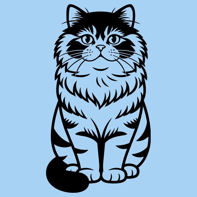 Chat persan