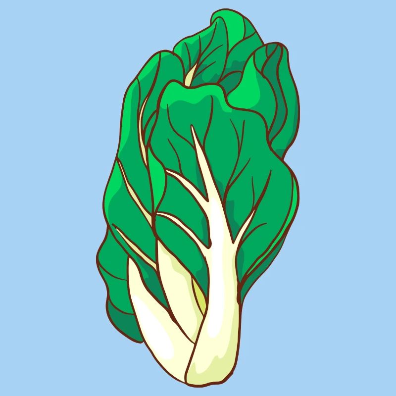 Mangold herb stem salad
