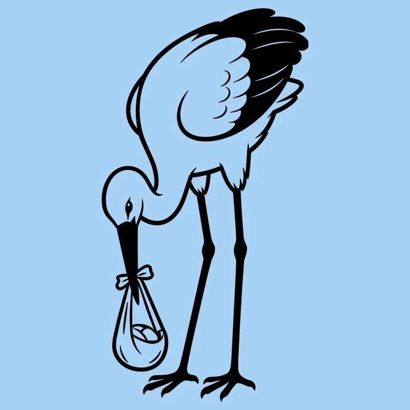 Bébé cigogne