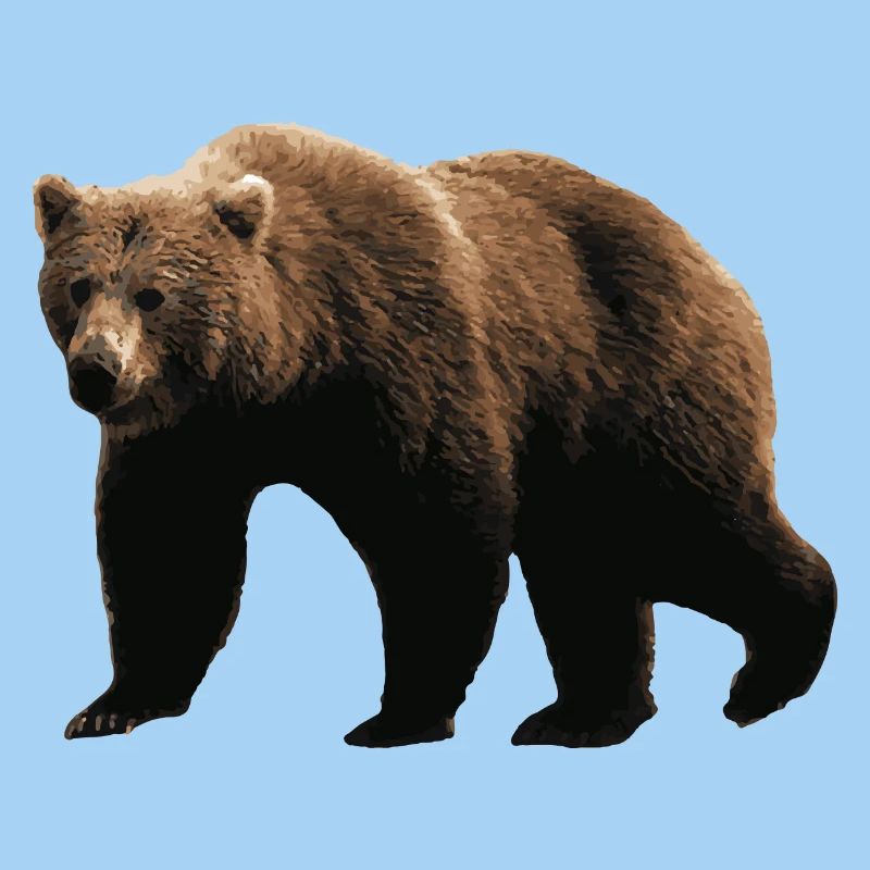 Ours Brun