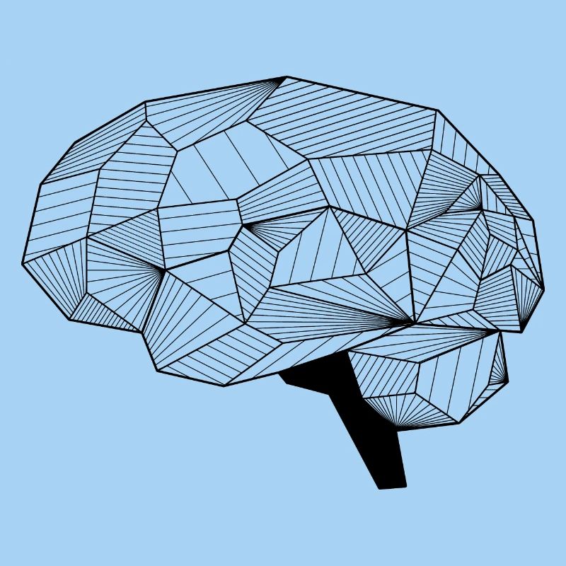 Brain