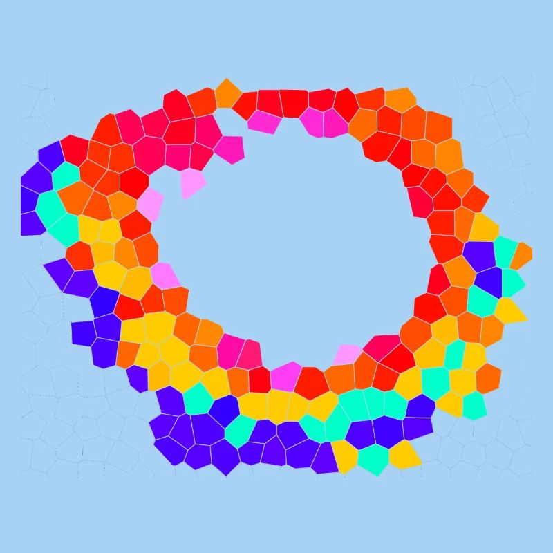 Voronoi Mosaic Orbit