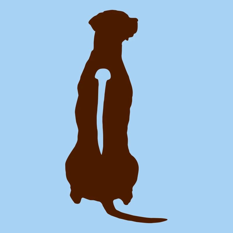 Rhodesian Ridgeback Back