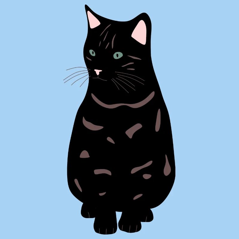 black cat