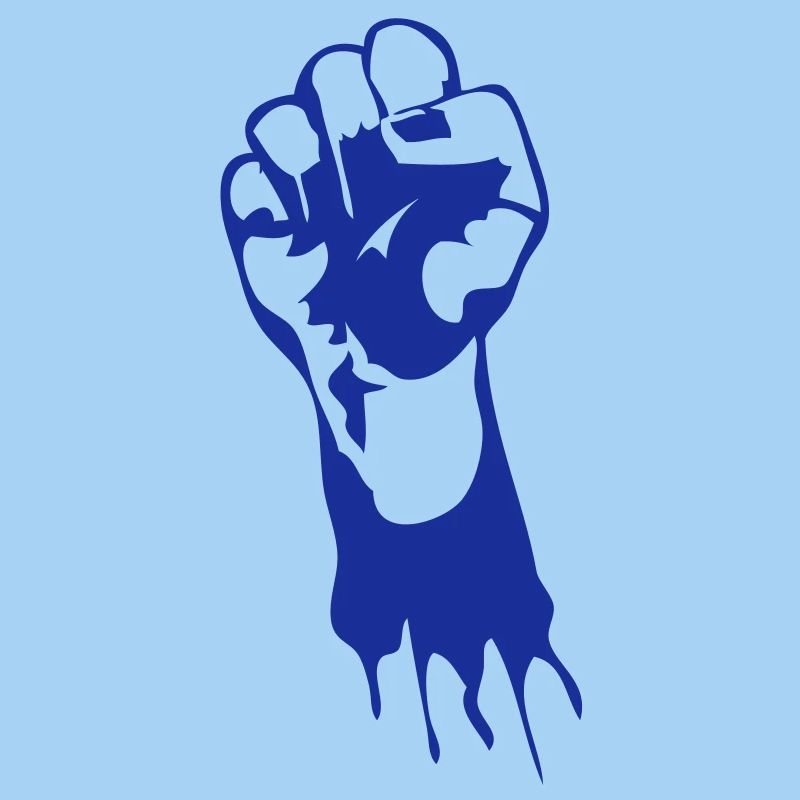 fist regulator