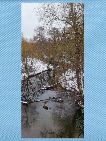 Winterfluss im Nebel