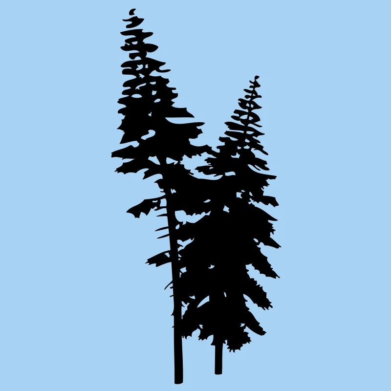 conifers