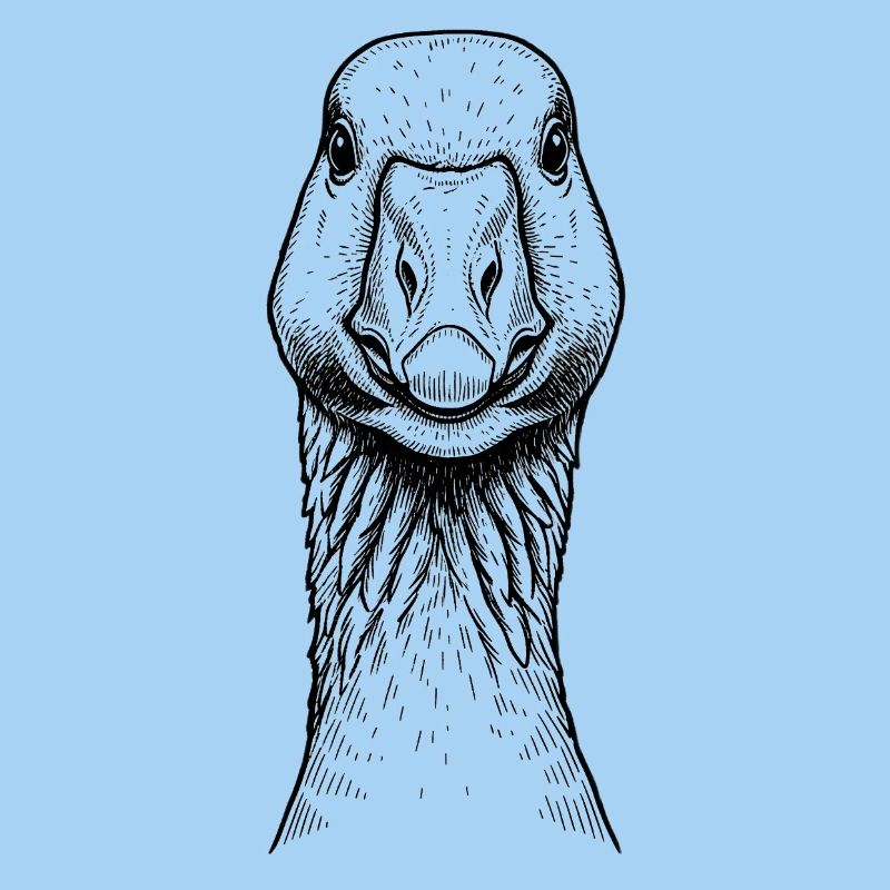 Goose
