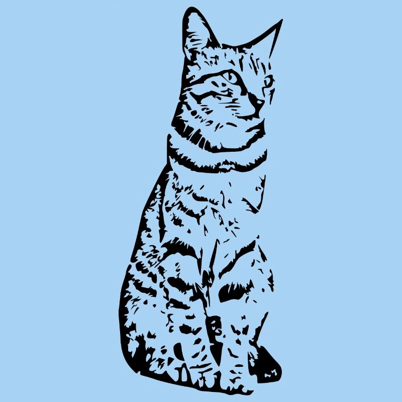 Katze schwarz