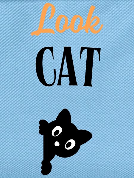Look Cat