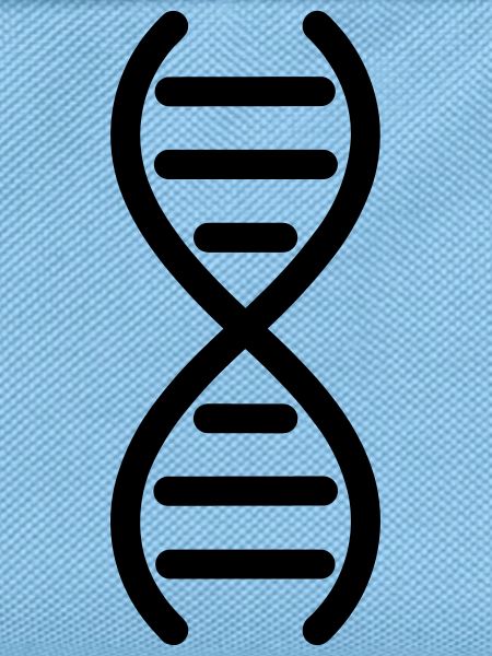 DNA-DNA-Doppelhelix