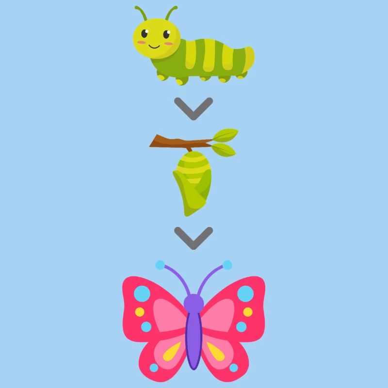 Transformation de chenille en papillon