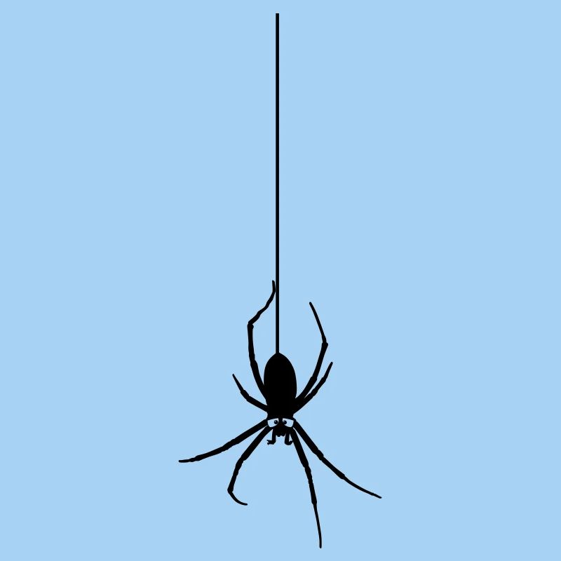 Araignée