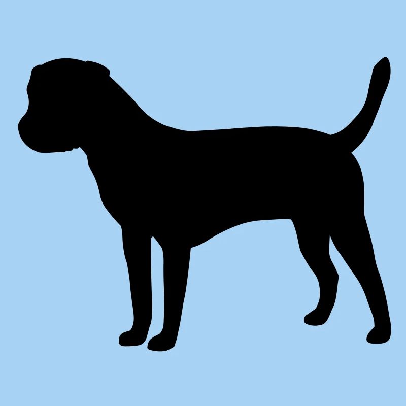 Border Terrier