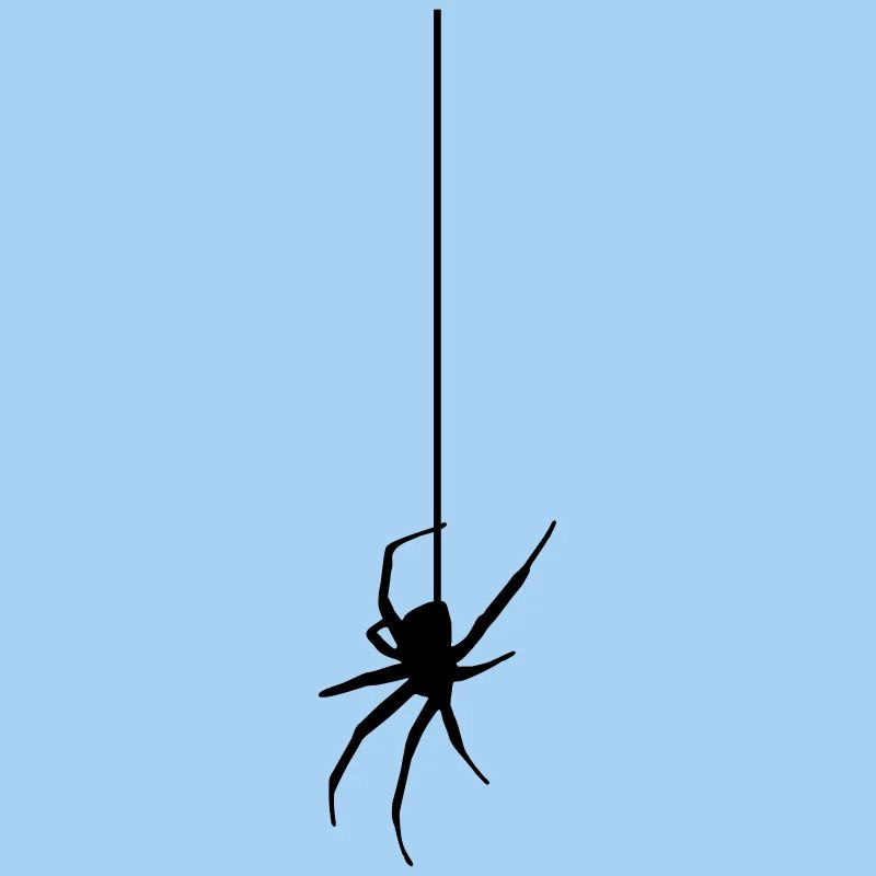 Spider on a thread