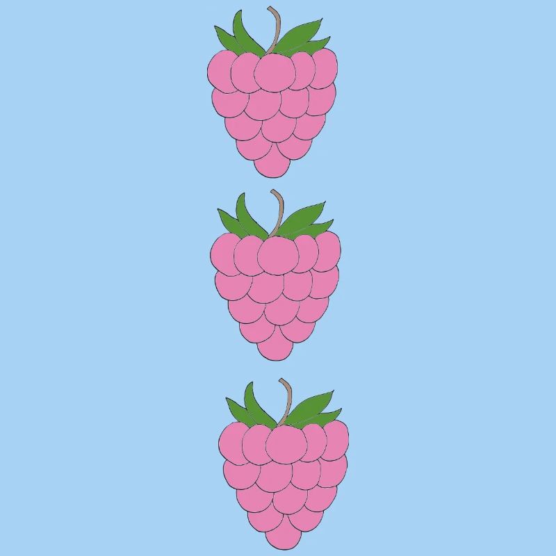 raspberries trio pattern