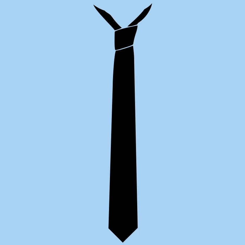 cravate style